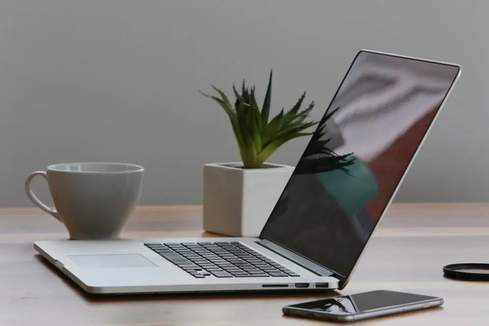 Escritorio ordenado con portátil, planta y taza de café